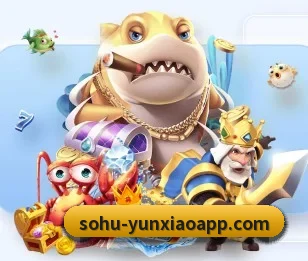 云霄体育 APP